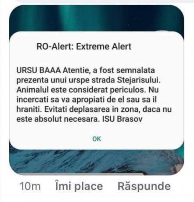 „Ursu' băăă”, mesajul atipic trimis de RO-ALERT locuitorilor din Brașov