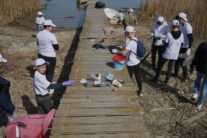 Sursă foto: Facebook/Mai Mult Verde