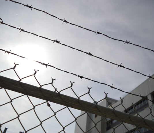 Dosar penal după ce polițiștii au împușcat un deținut din Penitenciarul Craiova care evadase Sursa foto: Pixabay