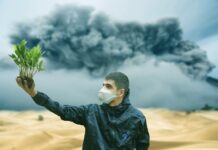 Două societăți din Sebeș, acuzate de poluare prin evacuarea în atmosferă de substanțe periculoase Sursă foto: Pixabay