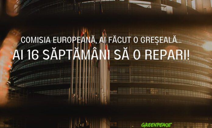 Sursă foto: Facebook/Greenpeace România