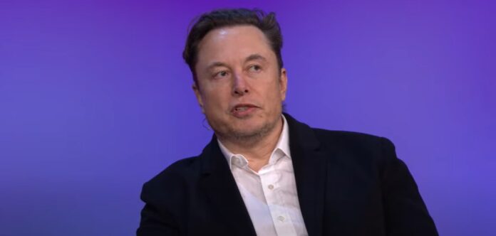 Elon Musk/Captură video Youtube/TED