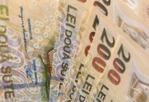 Fost ministru al Muncii, despre creșterea salariului minim: „Nu discutăm dacă, ci cu cât!”