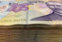 Camera Deputaților a decis în privința Pilonului 2 de pensii