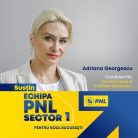 Avocată din București, membră PNL, reținută pentru corupție; colegii liberali asigură că va fi suspendată din partid