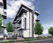 Primărița din Craiova, contre cu ministrul Apărării pe tema unui… radar