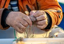 Bărbat din Tulcea, arestat după ce a pescuit știucă în perioada de prohibiție