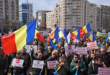 Federația Sindicatelor Silva constestă reorganizarea Romsilva: „Dreptate în justiție, nu pe Facebook”