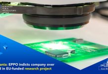 Companie din România și administratorul acesteia, acuzați de Parchetul European de fraudă cu fonduri europene