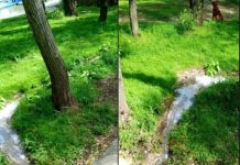 Administratorul unui restaurant din Brăila, amendat pentru că deversa în Dunăre „apele uzate fecaloid-menajere”