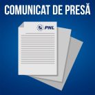Parlamentarii PNL și USR vor declarații de interese financiare