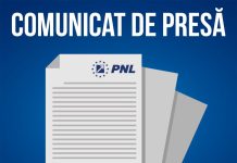 Parlamentarii PNL și USR vor declarații de interese financiare