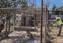 Grădină zoologică ilegală din județul Dâmbovița, închisă de Garda de Mediu; a fost deschis dosar penal