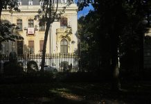 România „riscă” să intre pe direcția corectă. Piedone a vorbit în 2025, Grindeanu cere reforma în 2026
